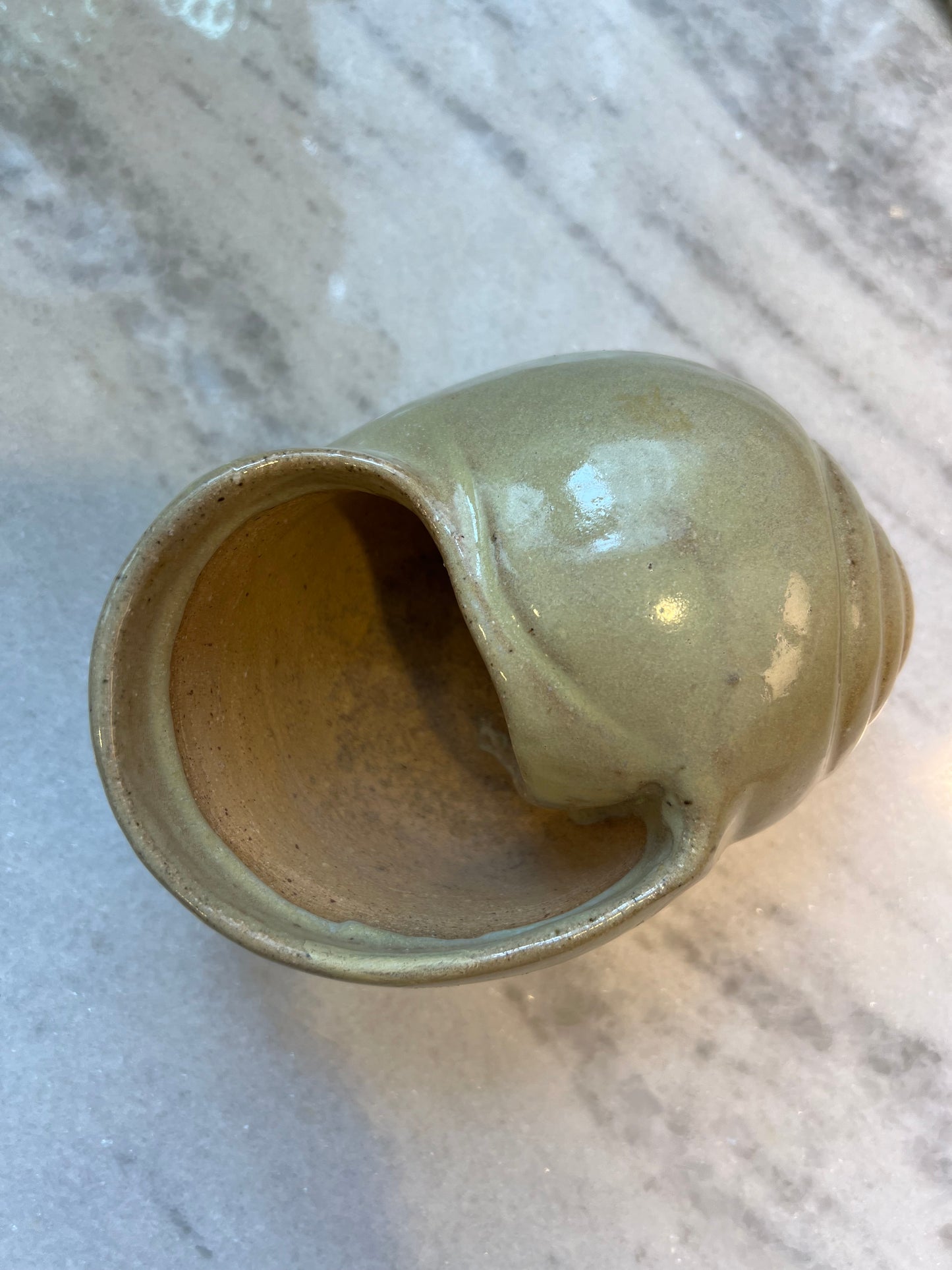 Snail Shell Planter