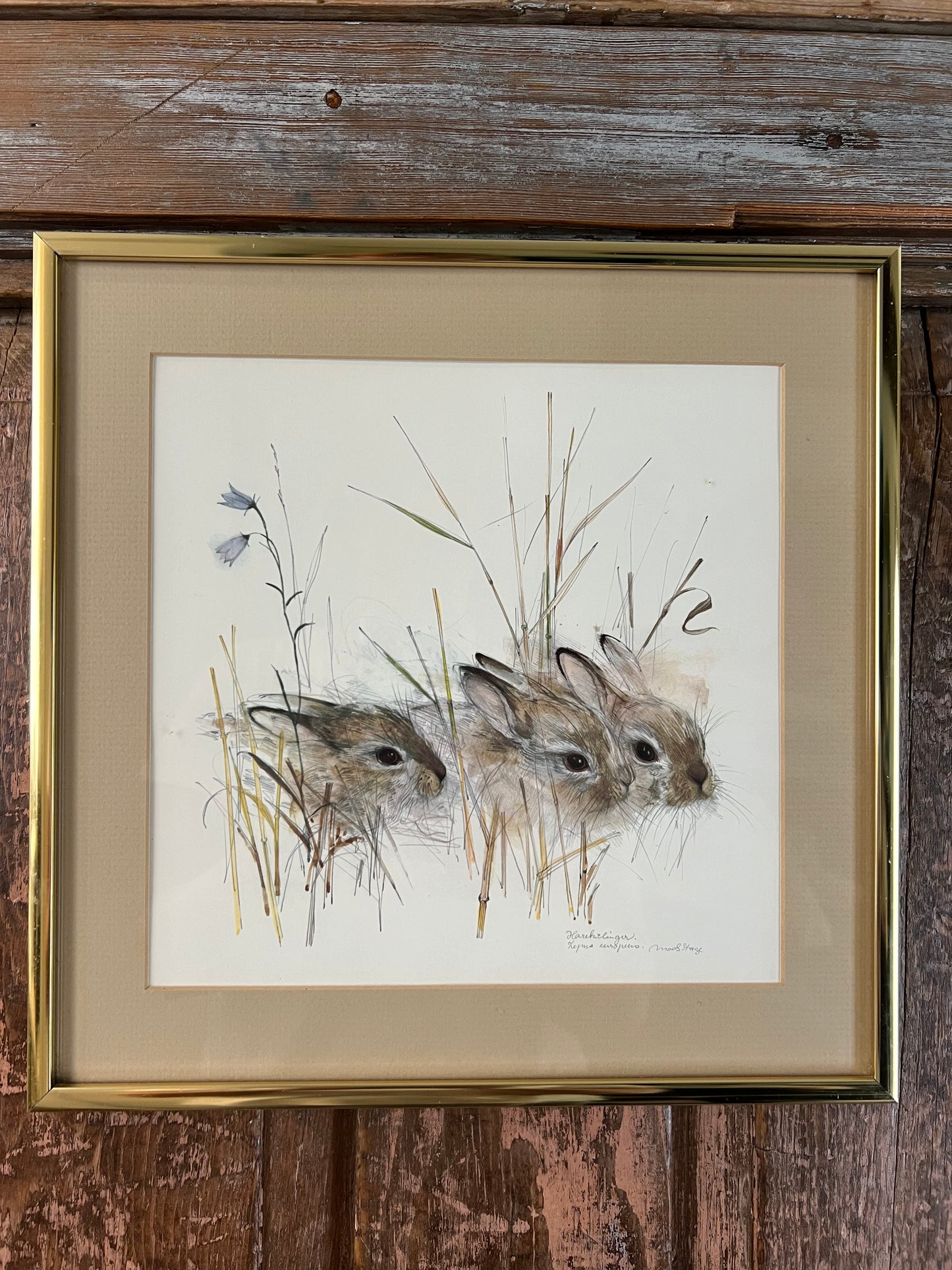 Signed Watercolor Print
