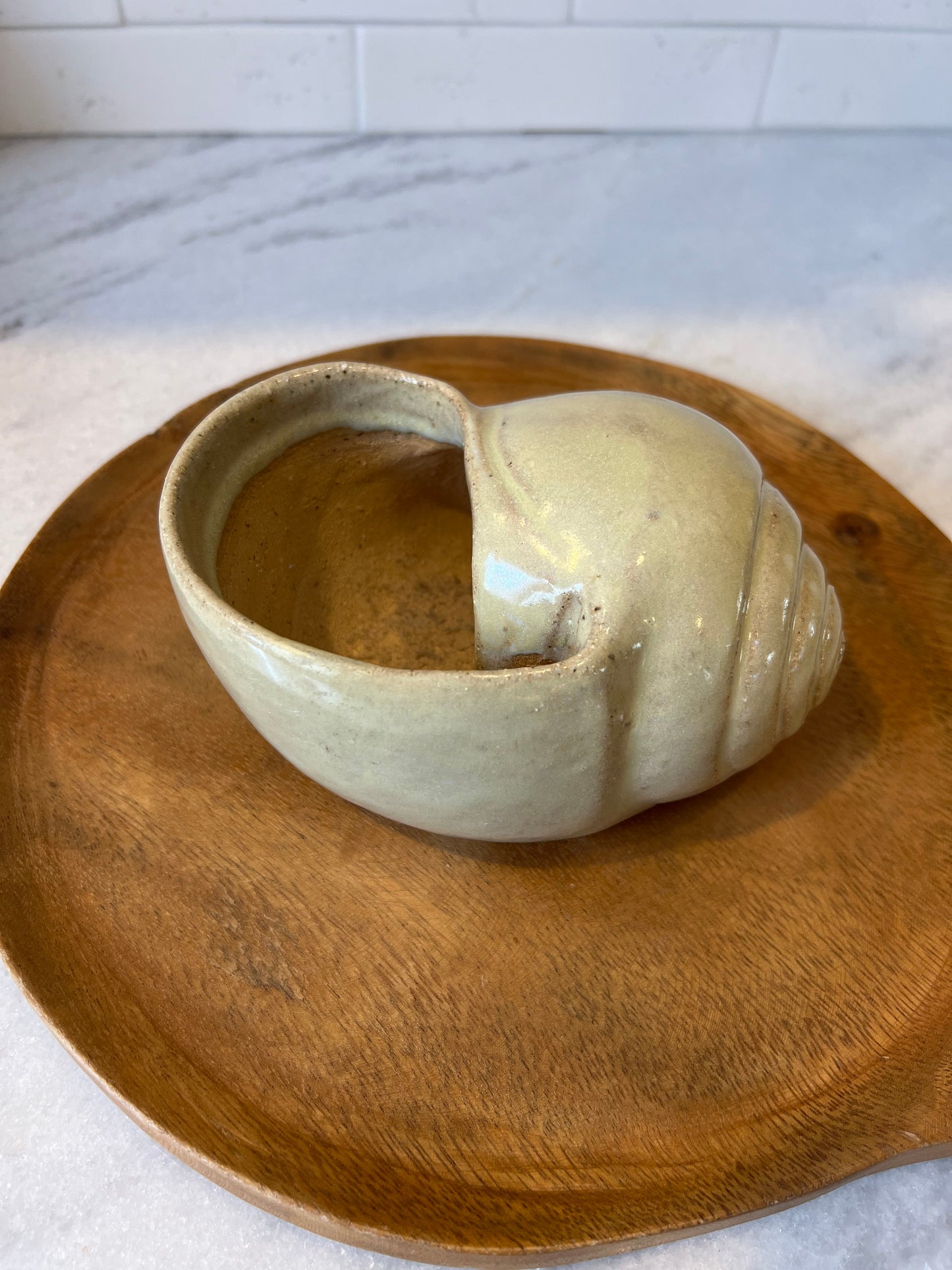 Snail Shell Planter