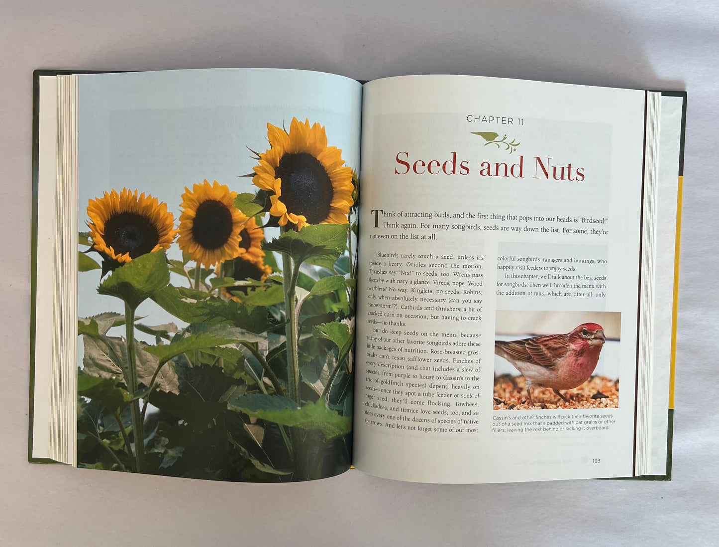 Songbirds book