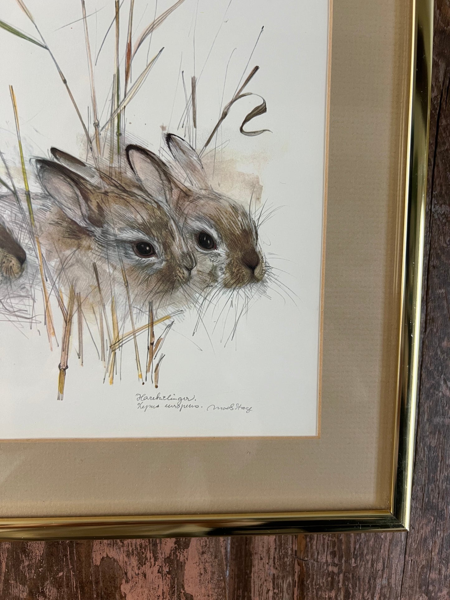 Signed Watercolor Print