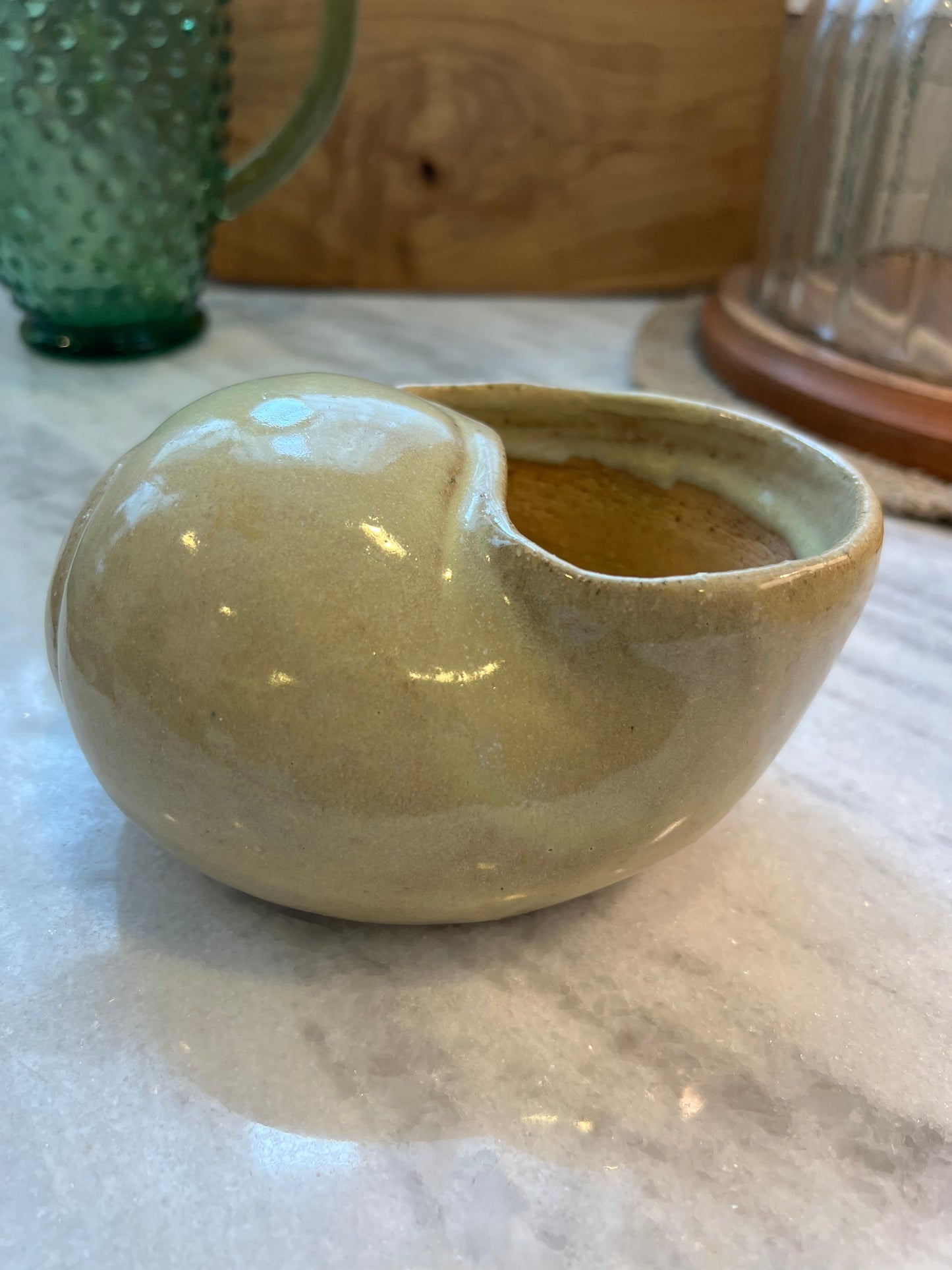 Snail Shell Planter