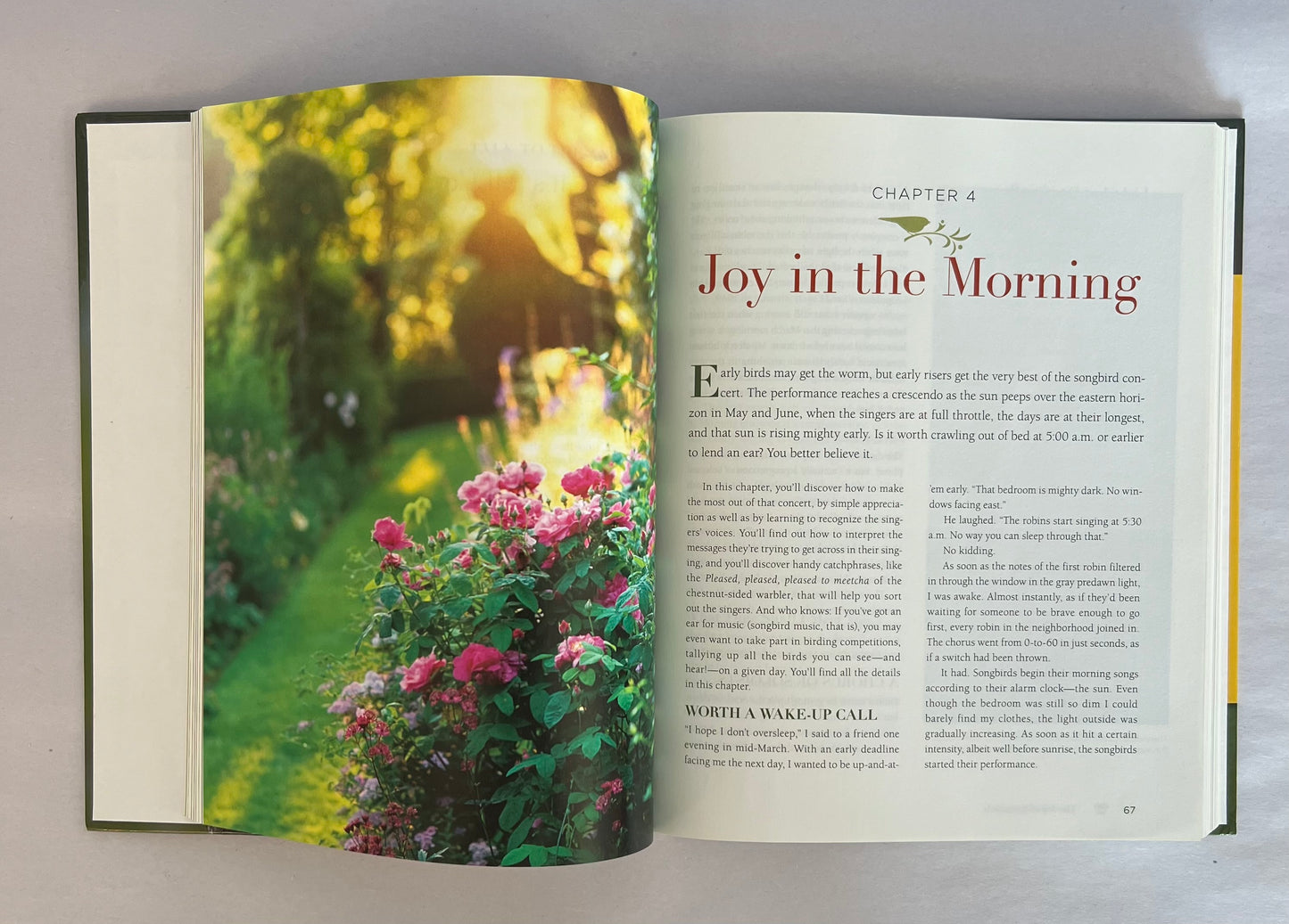 Songbirds book