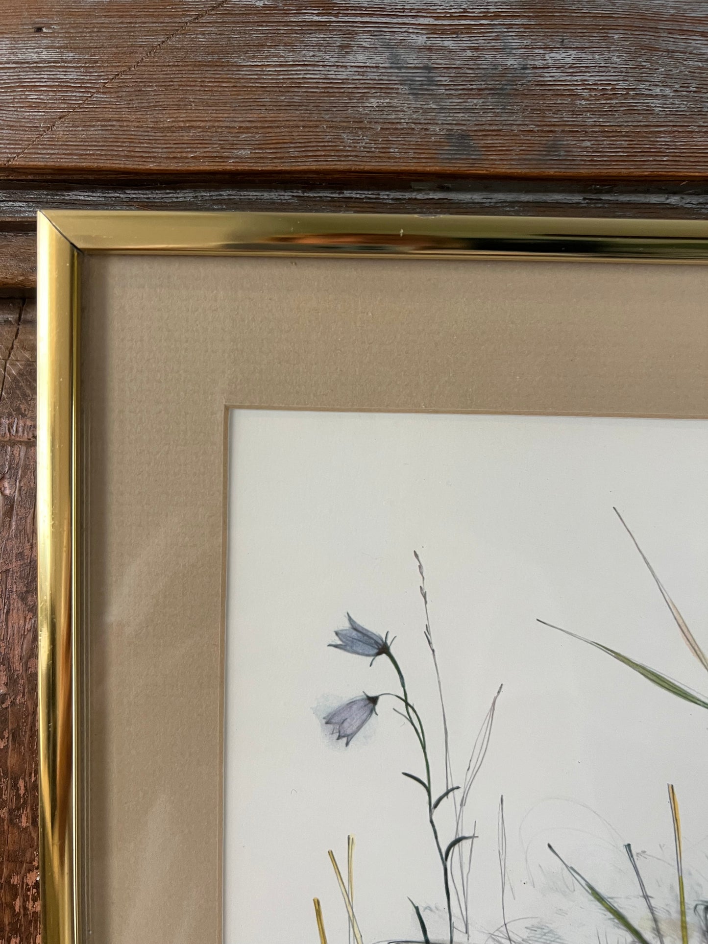 Signed Watercolor Print