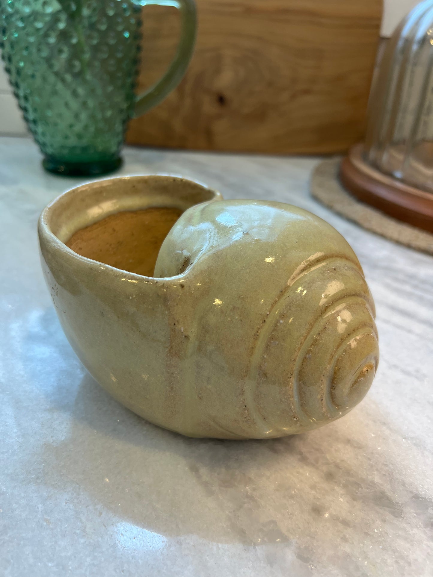 Snail Shell Planter