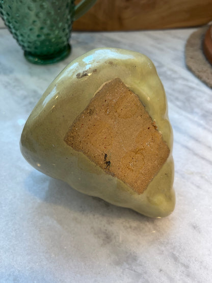 Shell Planter