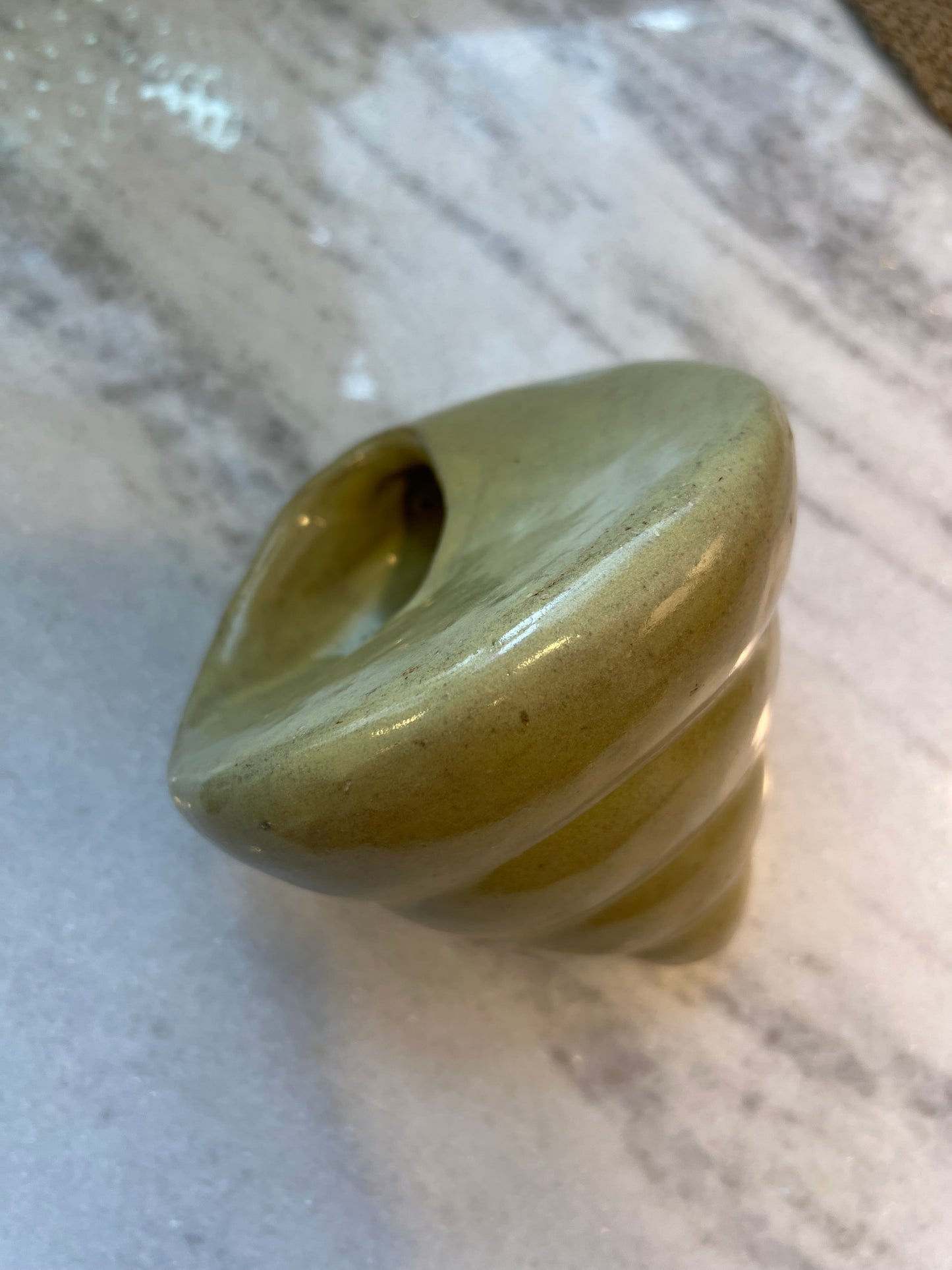 Shell Planter